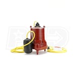 Liberty Pumps HT41A-2