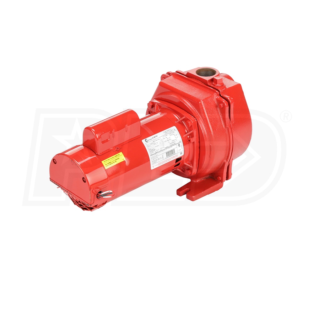 Red Lion 614673 89 GPM 2 HP Self-Priming Cast Iron Sprinkler Pump