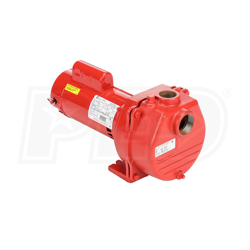 Red Lion RLSP-200-SD 89 GPM 2 HP Self-Priming Cast Iron Sprinkler Pump ...