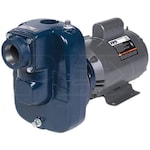 Pacer SE2ELC2.0C - 110 GPM (2) 2-HP Electric Water Pump (115/230V)