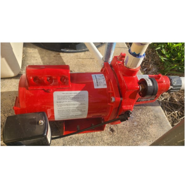 red lion shallow well pump